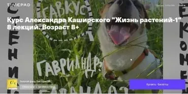 [kik] Жизнь растений-1. Тариф «8 лекций». Возраст 8+ (Александр Каширский)