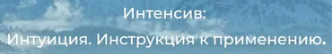 Интуиция. Инструкция к применению (Гуля Мусаева)
