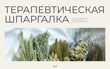 Терапевтическая шпаргалка (Гаяне Тандилян)