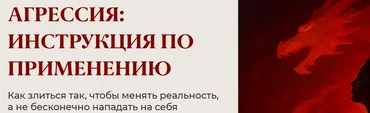 Агрессия: инструкция по применению (Юлия Пирумова)