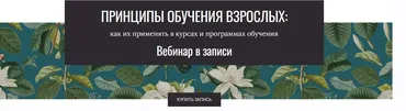 Принципы обучения взрослых. Тариф Сам за себя (Елена Тихомирова)