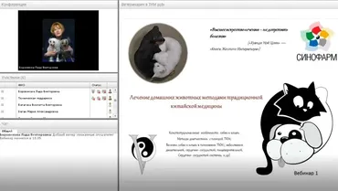 Болезни собак и кошек с позиций ТКМ (Лада Боровикова)