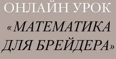 [Artstu10] Математика для брейдеров (Анастасия Десятникова)