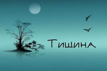 Сессия Тишины (Дарья Хэнсон)