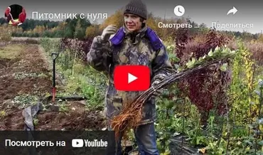Питомник с нуля. Обновленная версия (Евгений Федотов)