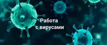 Работа с Вирусами (Никита Истомин)