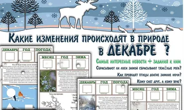 [Увлекательное обучение] Интерактивные Лесные газеты. Декабрь (Елена Солдатова)