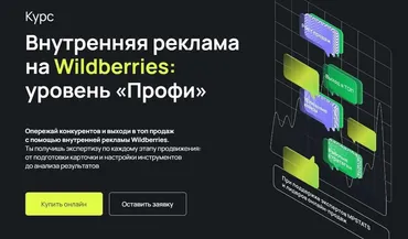 Внутренняя реклама на Wildberries: уровень «Профи». Тариф C куратором (Виктория Мурашкина, Антон Ланцов, Павел Михайлов)