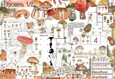 [busy-bee] Проект Грибы уровень 1/2 (Елена Самсонова)