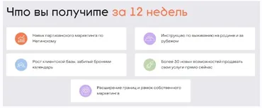 Партизанский маркетинг (Сергей Негинский)