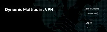 [n4e.ru] Dynamic Multipoint VPN (Алексей Гусев)