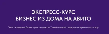 Экспресс курс Бизнес из дома на Авито (Виктория Синицына, Валерия Кидинова)