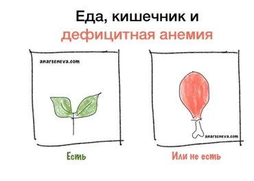 Еда, кишечник и дефицитная анемия (Анастасия Арсенева)