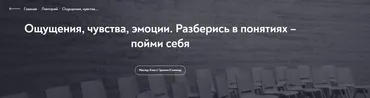 [МИП] Ощущения, чувства, эмоции. Разберись в понятиях пойми себя (Елена Журек)