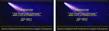 Деторождение (Андрей Бухарин)
