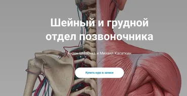 [kineziocourse] Шейный и грудной отдел позвоночника (Михаил Касаткин, Антона Шапочка)
