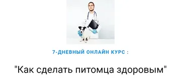 Как сделать питомца здоровым (Дмитрий Русаков)