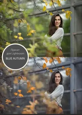 Пресет Blue Autumn (Анна Мельникова)