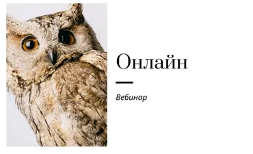 [Записки репетитора] Вебинар по работе онлайн  (Ирина Кузнецова)