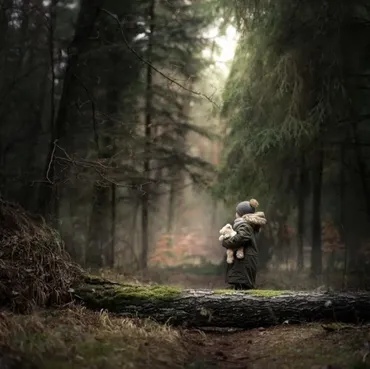 Into the forest (Iwona Podlasińska) на английском