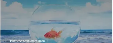 Моя мечта. Группа практики (Елена Веселаго)