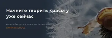[Limpopo School] Курс по макрофотографии  (Полина Серова, Арсен Алабердов)