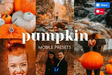 [Creativefabrica] Pumpkin Lightroom Presets