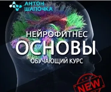 Нейрофитнес. Основы. Восстанавливаем тело и нервную систему (Антон Шапочка)
