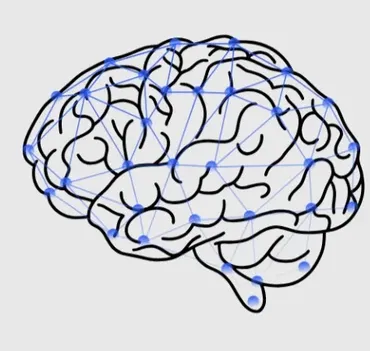 [Sovremenijmetod] Whole Brain Synchronization 30-дневный метод автоматического обучения языков