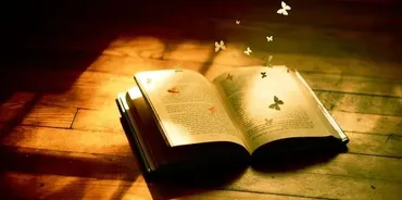 [Лавиния] Золотая книга Магии (Лавиния Сина Шендрей)