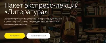 [Правое полушарие интроверта] Пакет экспресс-лекций «Литература» (Никита Добряков, Елизавета Фандорина)