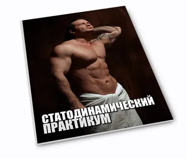 Статодинамический практикум (Денис Борисов)