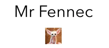 Mr Fennec 1 (Антон Брежестовский)