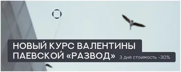 Развод. Тариф Премиум (Валентина Паевская)
