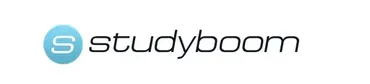 [StudyBoom] Продуктовый дизайн (Роман Шелехов)
