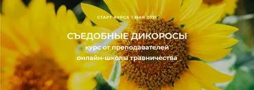 [FestTrav] Съедобные дикоросы (Наталья Замятина, Сергей Апполонов)