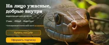 На лицо ужасные, добрые внутри (Александр Толмачев)