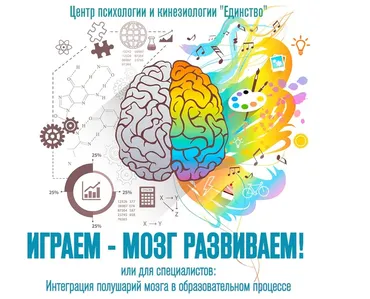 Играем - мозг развиваем (Елена Шадрина)