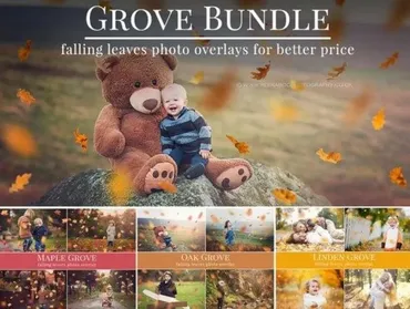 [Etsy.com] Фотоналожения Падающие листья / Falling leaves photo overlays (BrownLeopard)