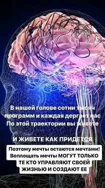 Формирование нейронных связей (Светлана Миронюк)