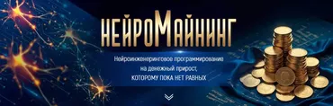Нейромайнинг (Марта Николаева-Гарина)
