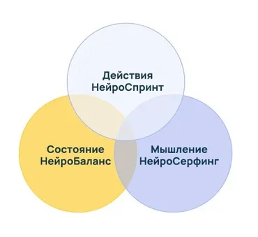 Сертификационная программа Neurointegration Fundamentals NIF (Катерина Ленгольд)