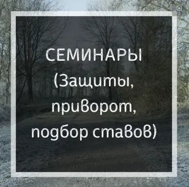 Диагностика ставов рунами (Ольга Бушар)