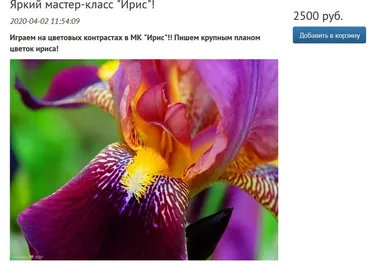 [Студия живописи Надежды Русиновой] Ирис (Надежда Русинова)
