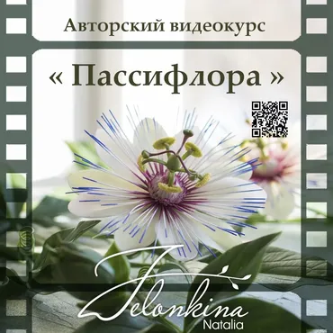 Пассифлора (Наталья Желонкина)