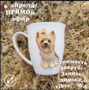 МК Йоркширский терьер (deli_craft)
