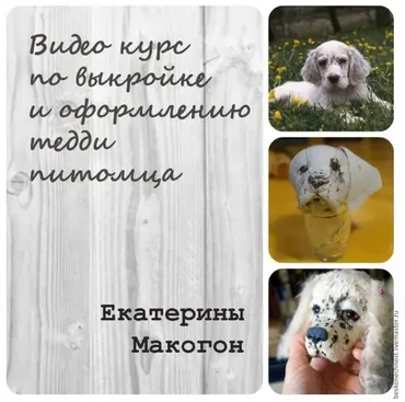 [Тедди] Видео-курс по выкройке и оформлению тедди питомца (Екатерина Макогон)