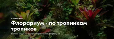 Флорариум - по тропинкам тропиков. Тариф - Групповой (Мария Короленко, Георгий Короленко)