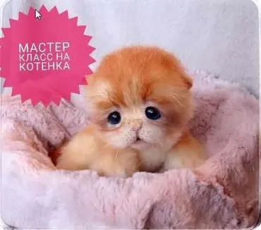 [Шитьё игрушки] Мастер класс «Котёнок» (Владлена Кристаль)