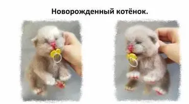 Мастер-класс Новорожденный котенок (Татьяна Коротких)
